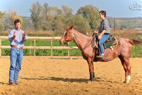 North Orava Cutting Horses