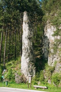 Poluvsianska skalná ihla