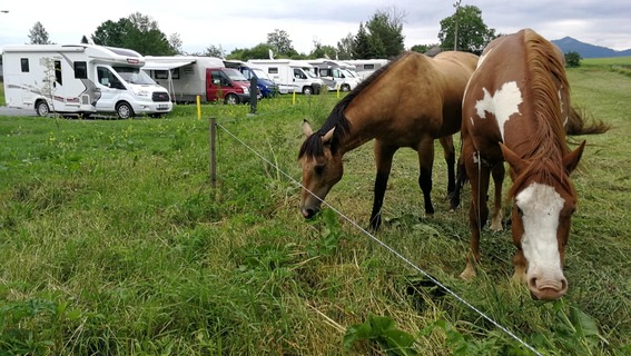 Camp Sojka***
