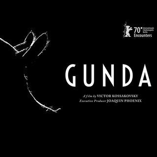 Gunda